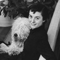 Florence Knoll - Designer