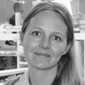 Signe Blomquist