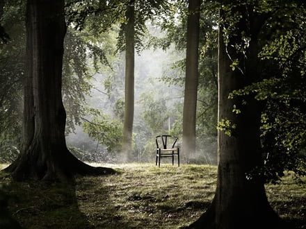 Carl Hansen - CH24 - Wald - Nachhaltigkeit