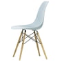 Vitra - Eames Plastic Side Chair DSW, Esche honigfarben / eisgrau (Filzgleiter weiß)