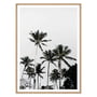 artvoll - Palm Tree 03 Poster mit Rahmen, Eiche natur, 50 x 70 cm