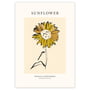 artvoll - Sunflower Poster by Rowan Sterenberg, 21 x 30 cm