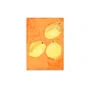 Paper Collective - Lemons Poster, 30 x 40 cm