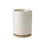 Stelton - Theo Thermo-Teebecher mit Untersetzer, 0,25 l, sand