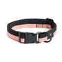 HAY - Dogs Hundehalsband, M/L, rosa / schwarz