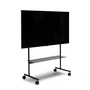Pedestal - Rover TV-Ständer, 40 - 70 Zoll, charcoal