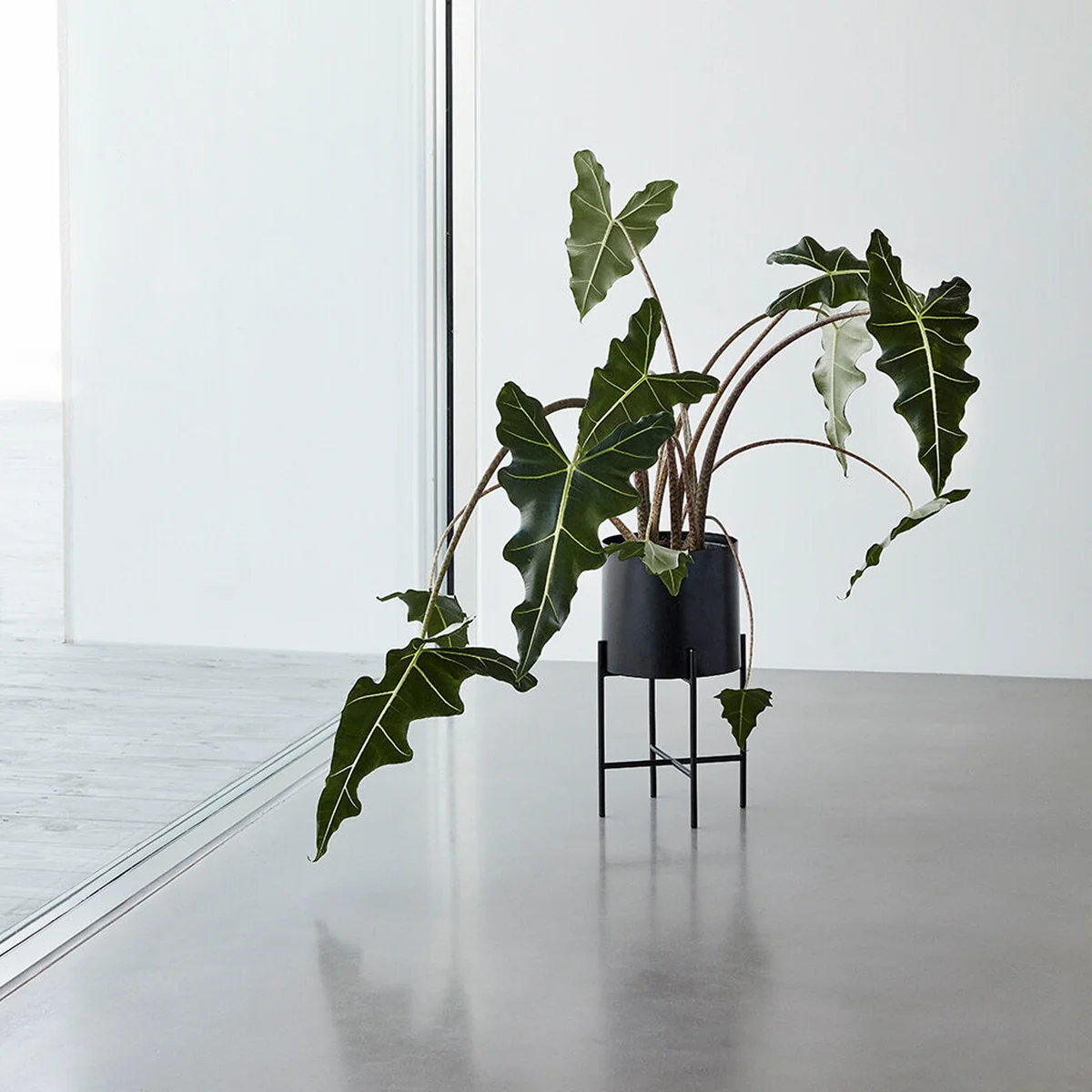 blumenständer rostoptik Blumenständer „Elegant” mit Schale – Handgefertigte Rostdeko aus Metall