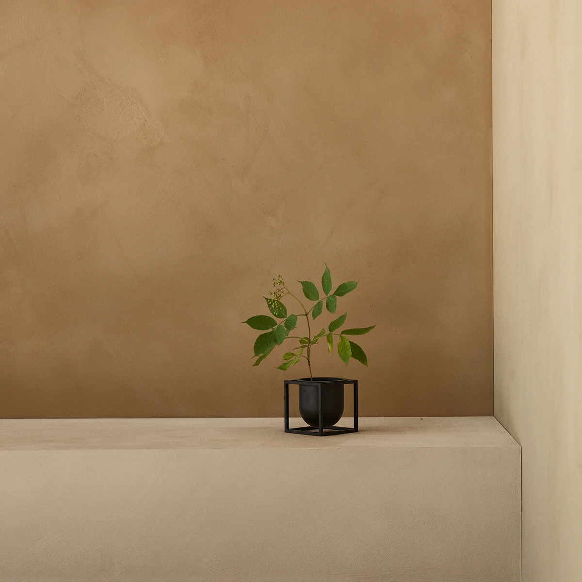 Audo - Kubus Flowerpot
