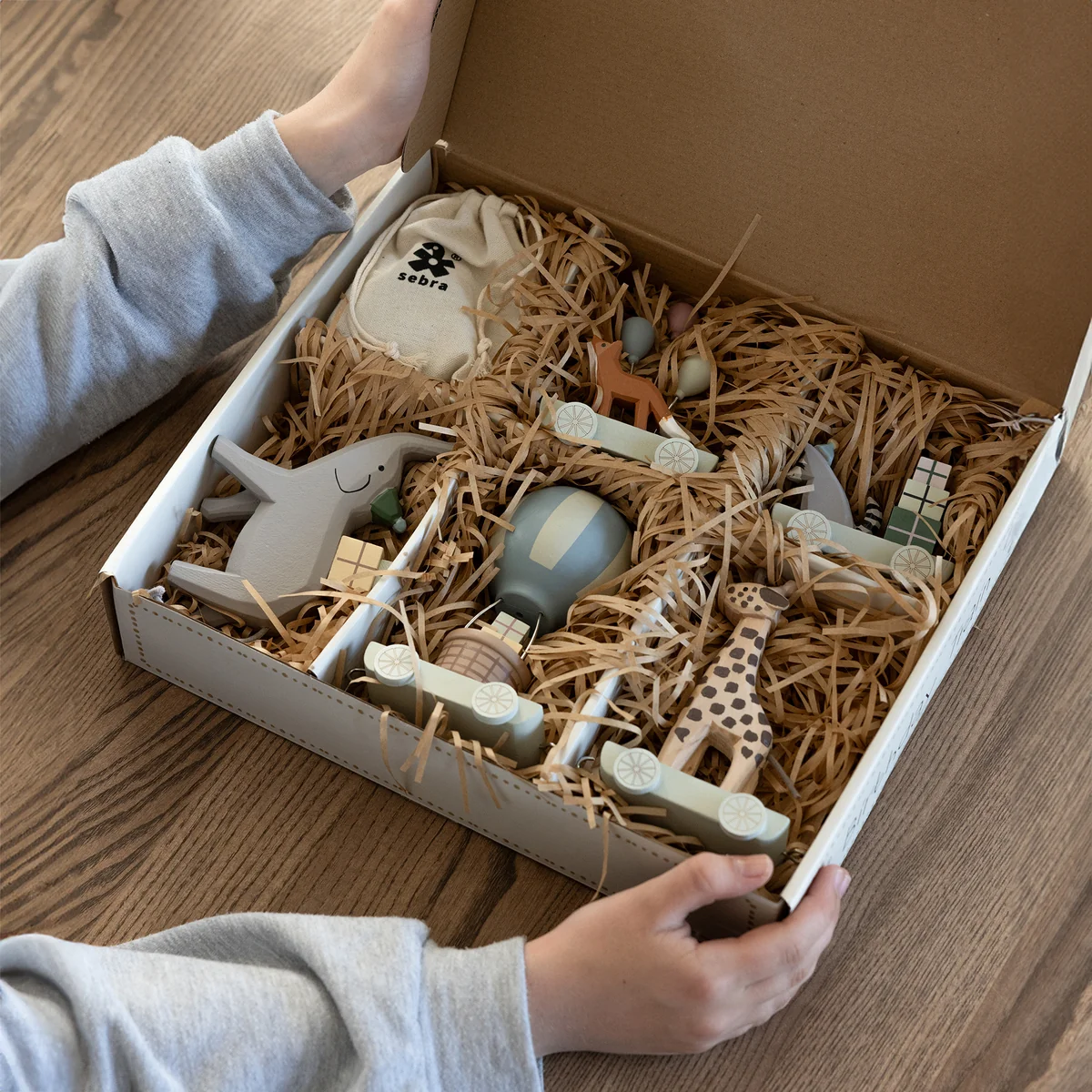 Geburtstagszug, World of Sebra von Sebra