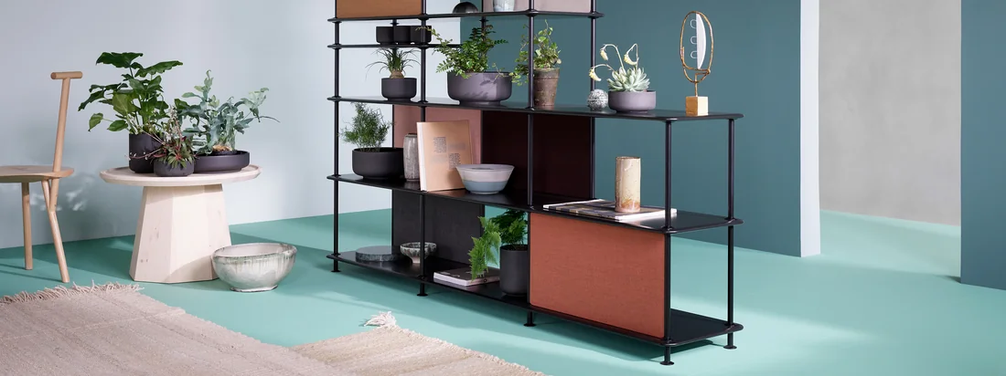 Montana - Free Regalsystem