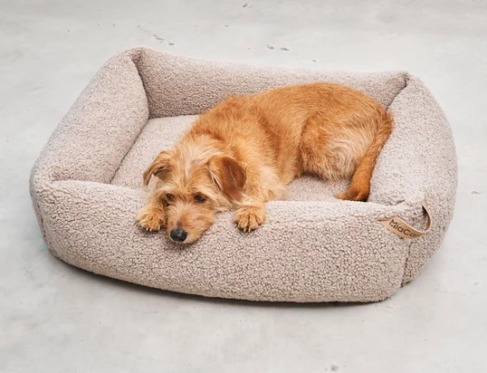 Senso Tierkissen von MiaCara