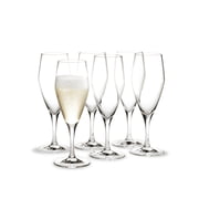 Holmegaard - Perfection Trinkgläser