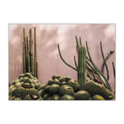 Paper Collective - Plants on Pink