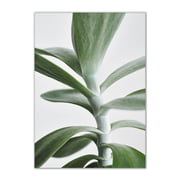 Paper Collective - Green Home 04