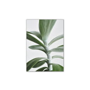 Paper Collective - Green Home 04