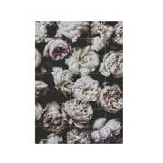 IXXI - Pfingstrosen (Lemholt)