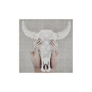 IXXI - Bohemian Skull