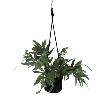 Trimm Copenhagen - Single Flowerpot