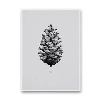 Poster Nature 1:1 Pine Cone von Paper Collective in Grey
