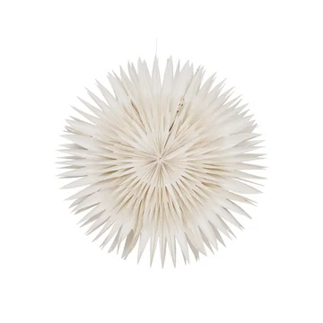 Layer Weihnachtsstern von House Doctor