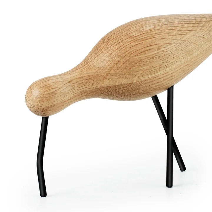 Großer Brachvogel mit gebogenem Schnabel