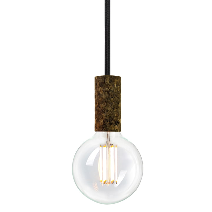 Cork Soil Raven (TT-09) von NUD Collection mit Leuchtmittel