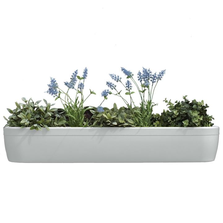 Fensterbank Blumenkasten von rephorm in Shop