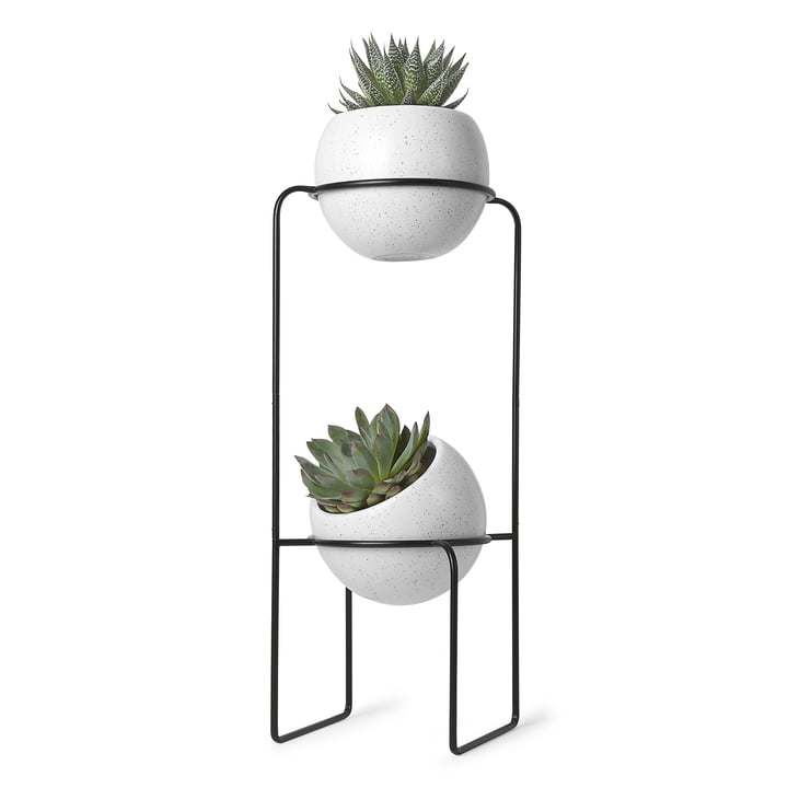 Nesta Freestand Pflanzenständer von Umbra | Connox