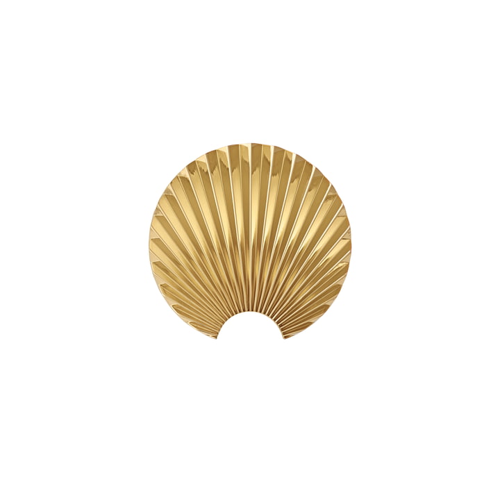 Concha Wandhaken, extra small in gold von AYTM