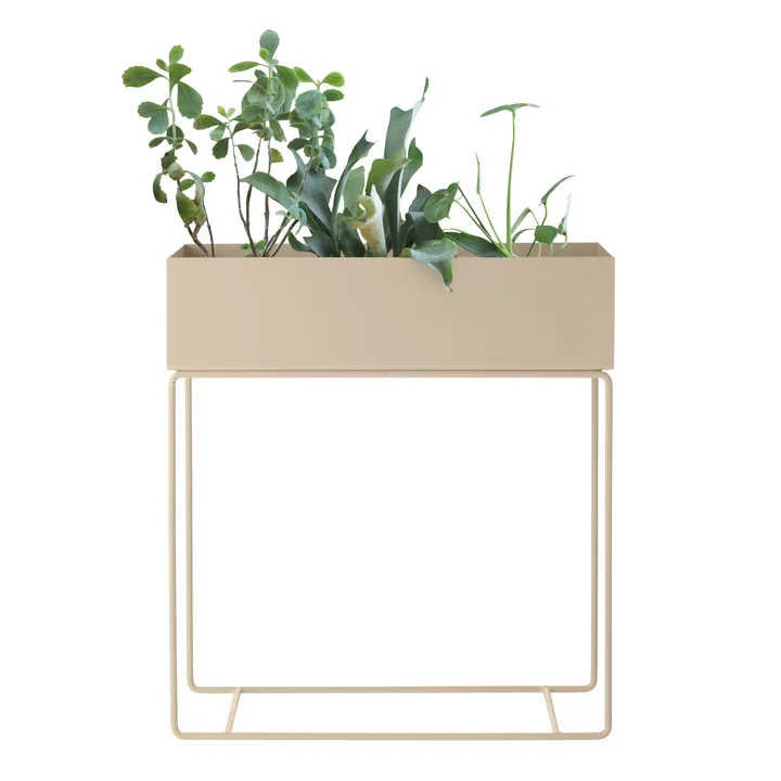 Plant Box, cashmere
