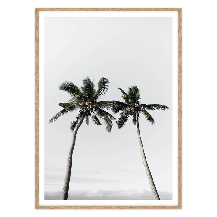 artvoll - Palm Tree II Poster mit Rahmen, Eiche natur