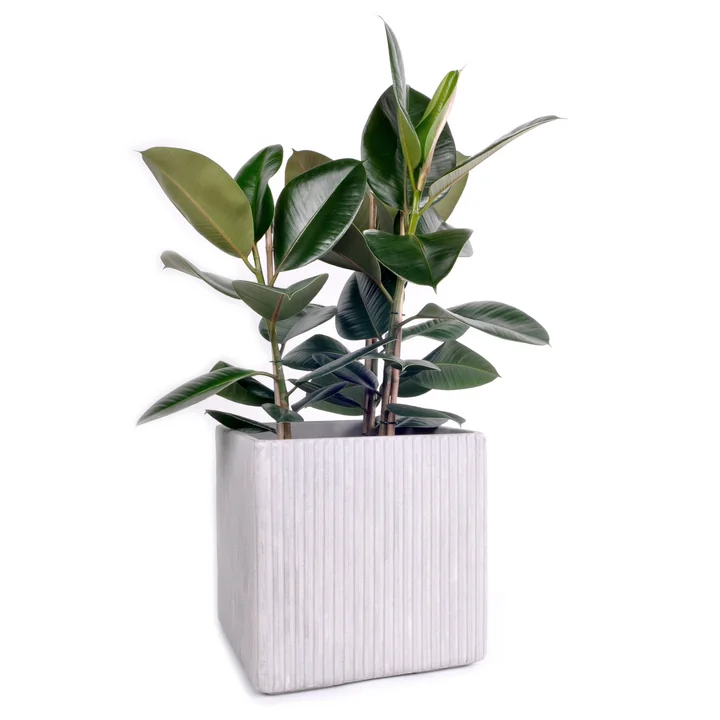 Mon Square Blumentopf L, grau von XLBoom