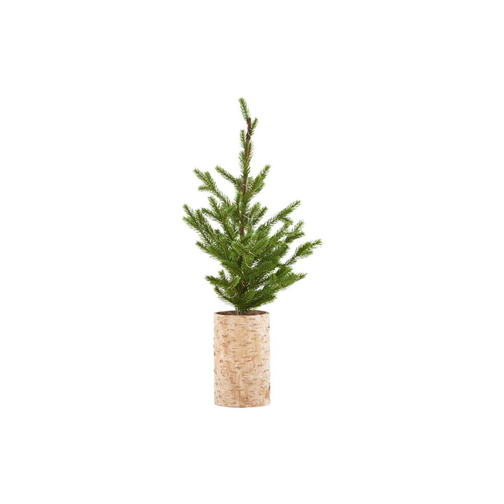 Weihnachtsbaum mit LED-Beleuchtung, H 64 cm von House Doctor
