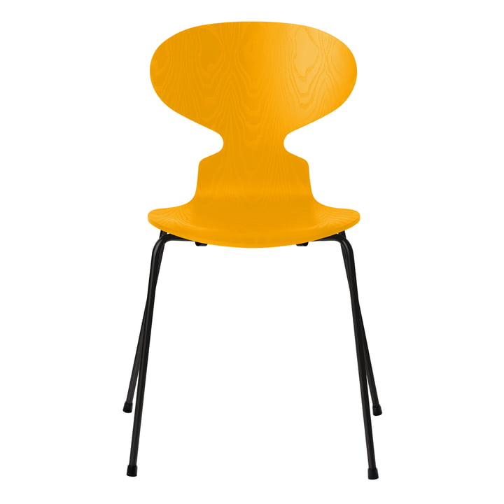 Ameise Stuhl von Fritz Hansen in Esche true yellow gefärbt / Gestell schwarz