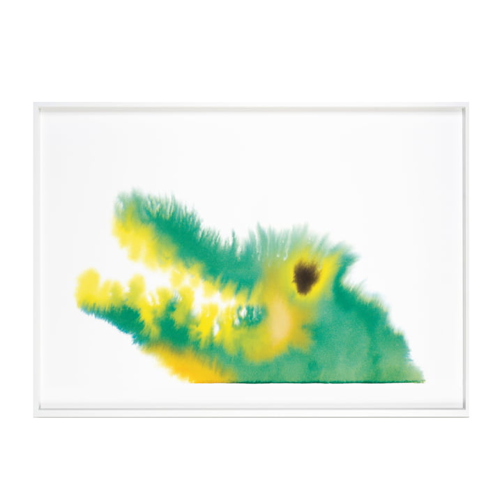Krokodil Poster mit Rahmen 52 x 69,8 cm von The Wrong Shop in mehrfarbig