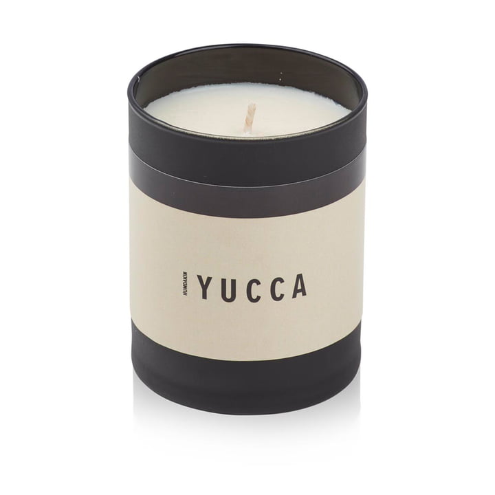 Die Duftkerze Yucca von Humdakin riecht frisch