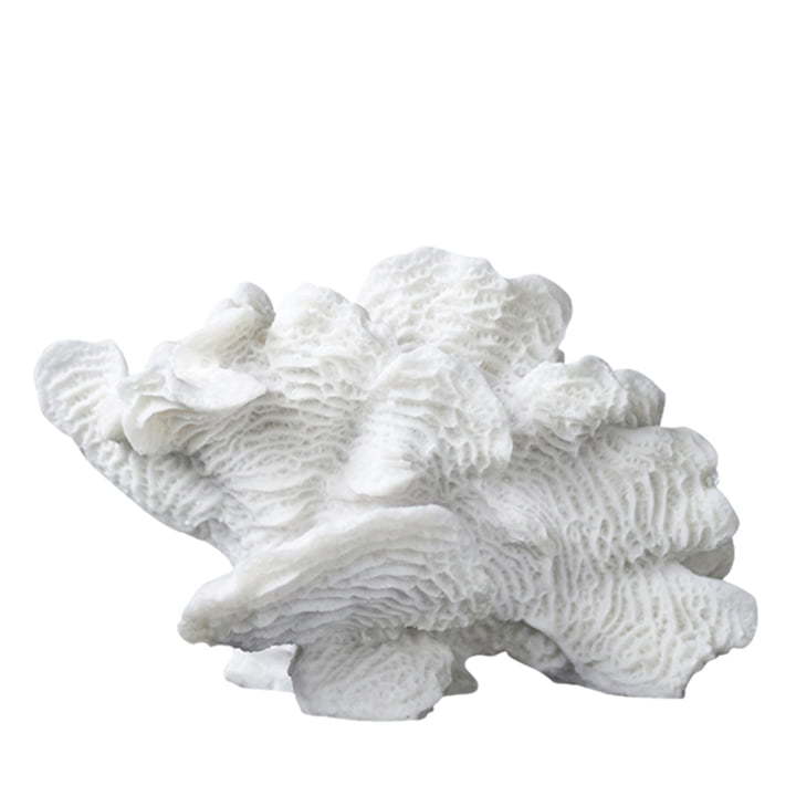 Coral Deko-Objekt Fächer von Mette Ditmer in weiß