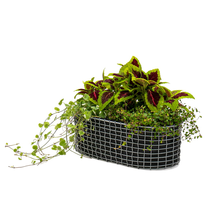 Der Balcony Basket von Korbo