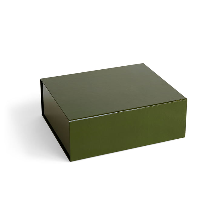 Colour Aufbewahrungsbox magnetisch M von Hay in der Farbe olive