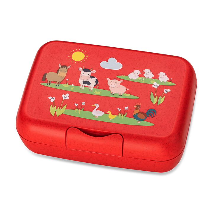Candy L Kinder-Lunchbox Farm, organic red von Koziol