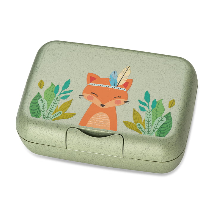 Candy L Kinder-Lunchbox Harry, organic green von Koziol