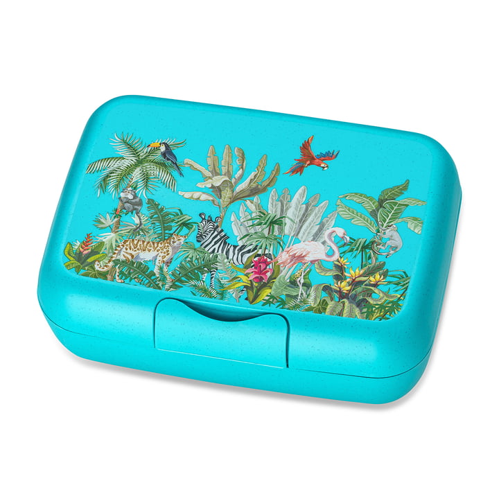 Candy L Kinder-Lunchbox Jungle, organic turquoise von Koziol