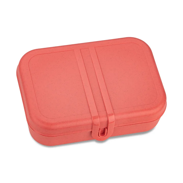 Pascal L Lunchbox mit Trennsteg, nature coral von Koziol