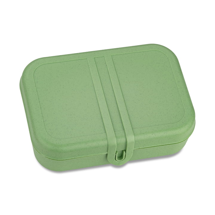 Pascal L Lunchbox mit Trennsteg, nature leaf green von Koziol