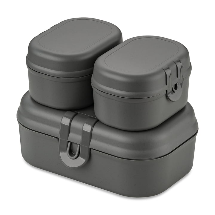 Pascal Ready Mini Lunchbox-Set, nature ash grey von Koziol