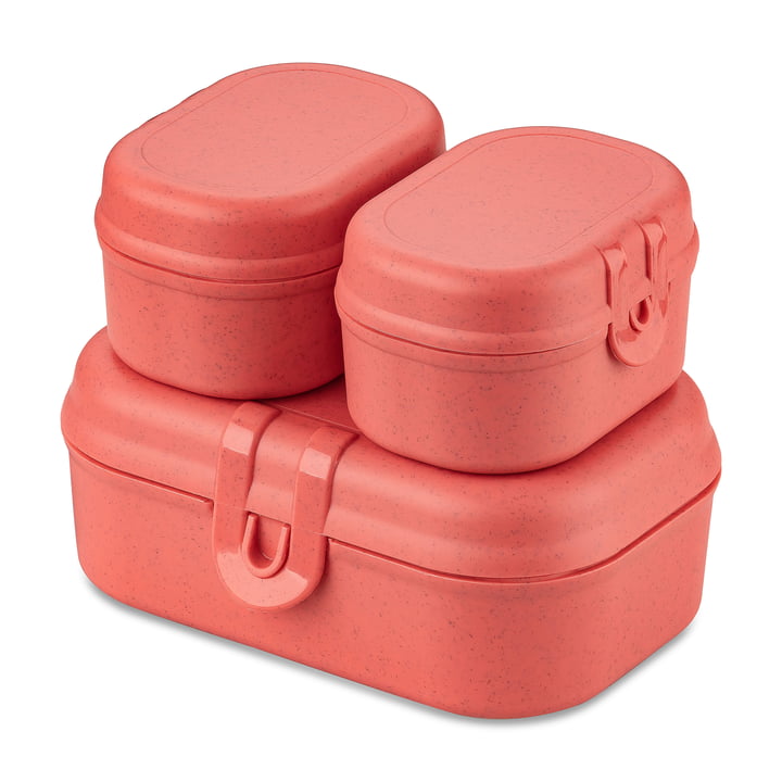 Pascal Ready Mini Lunchbox-Set, nature coral von Koziol
