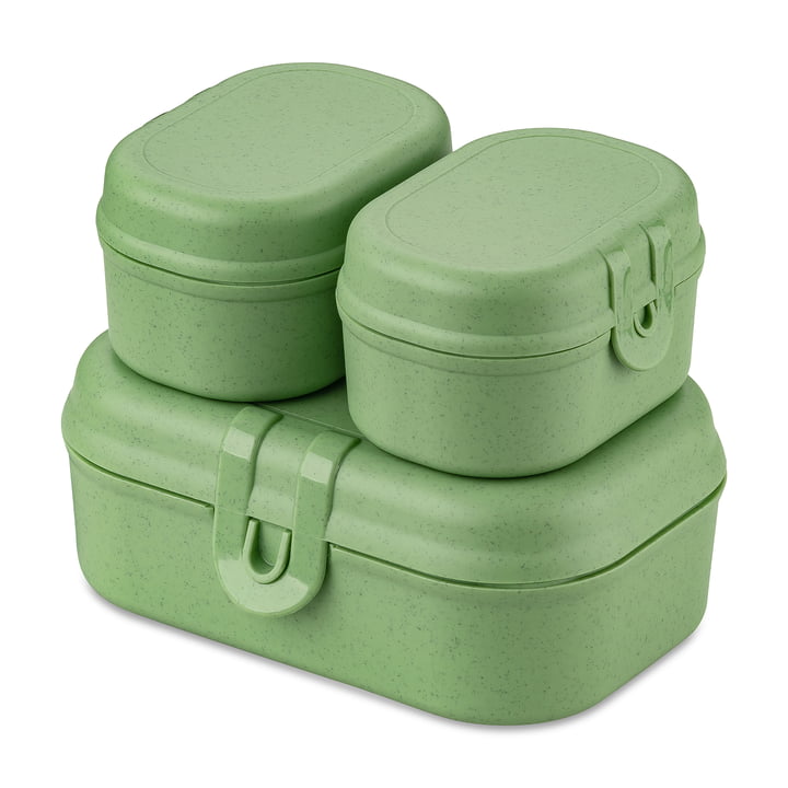 Pascal Ready Mini Lunchbox-Set, nature leaf green von Koziol