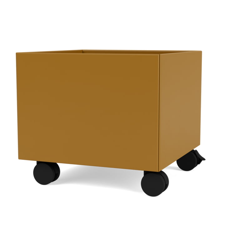 Mini Play-Box Aufbewahrungsbox von Montana in der Farbe amber 
