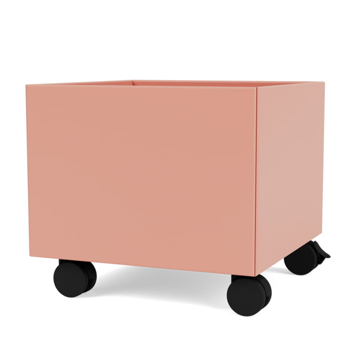 Mini Play-Box Aufbewahrungsbox von Montana in der Farbe rhubarb 