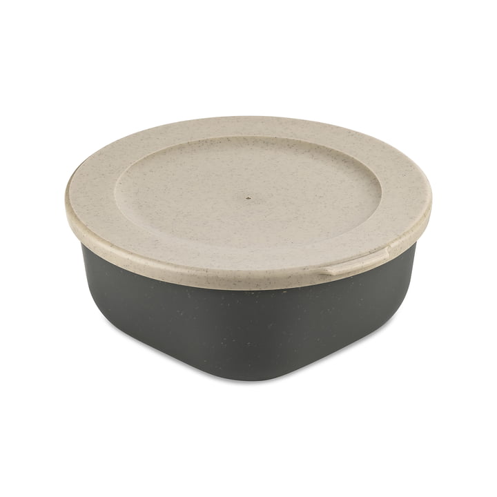Koziol - CONNECT BOX, mit Deckel, 700 ml, nature ash grey